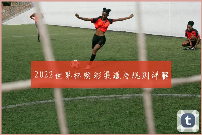 2022世界杯购彩渠道与规则详解