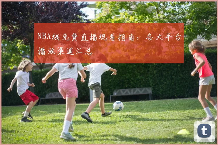 NBA线免费直播观看指南，各大平台播放渠道汇总