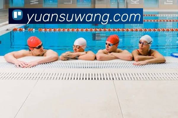 mksports官网平台生态图