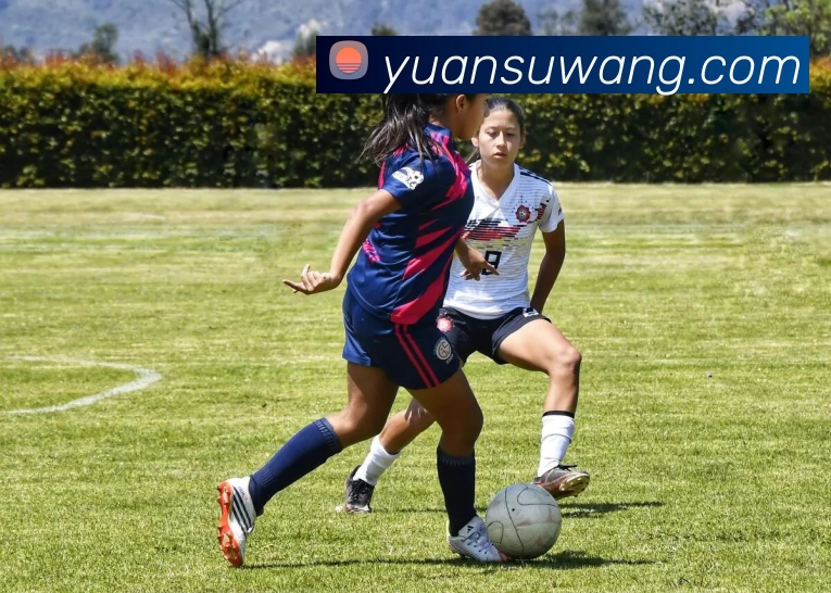 辅助工具 辅助工具